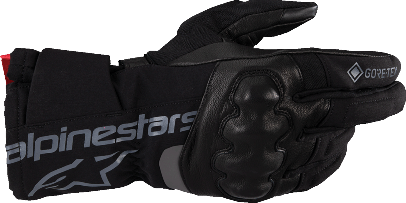 WT-4 Gore-Tex® Gloves - Black - XL