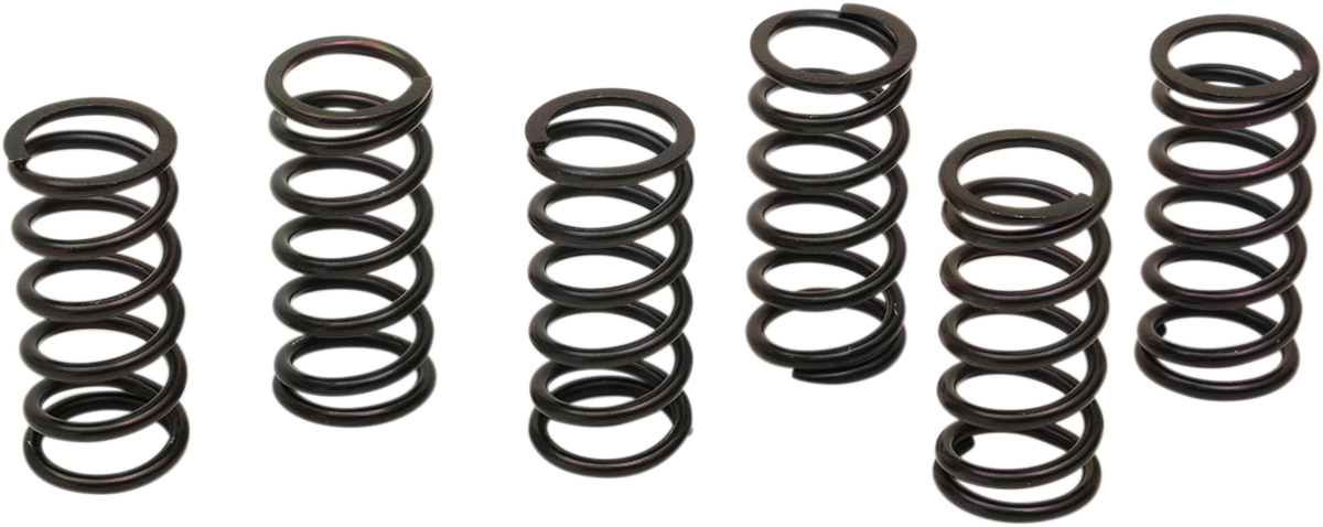 Clutch Spring Kit