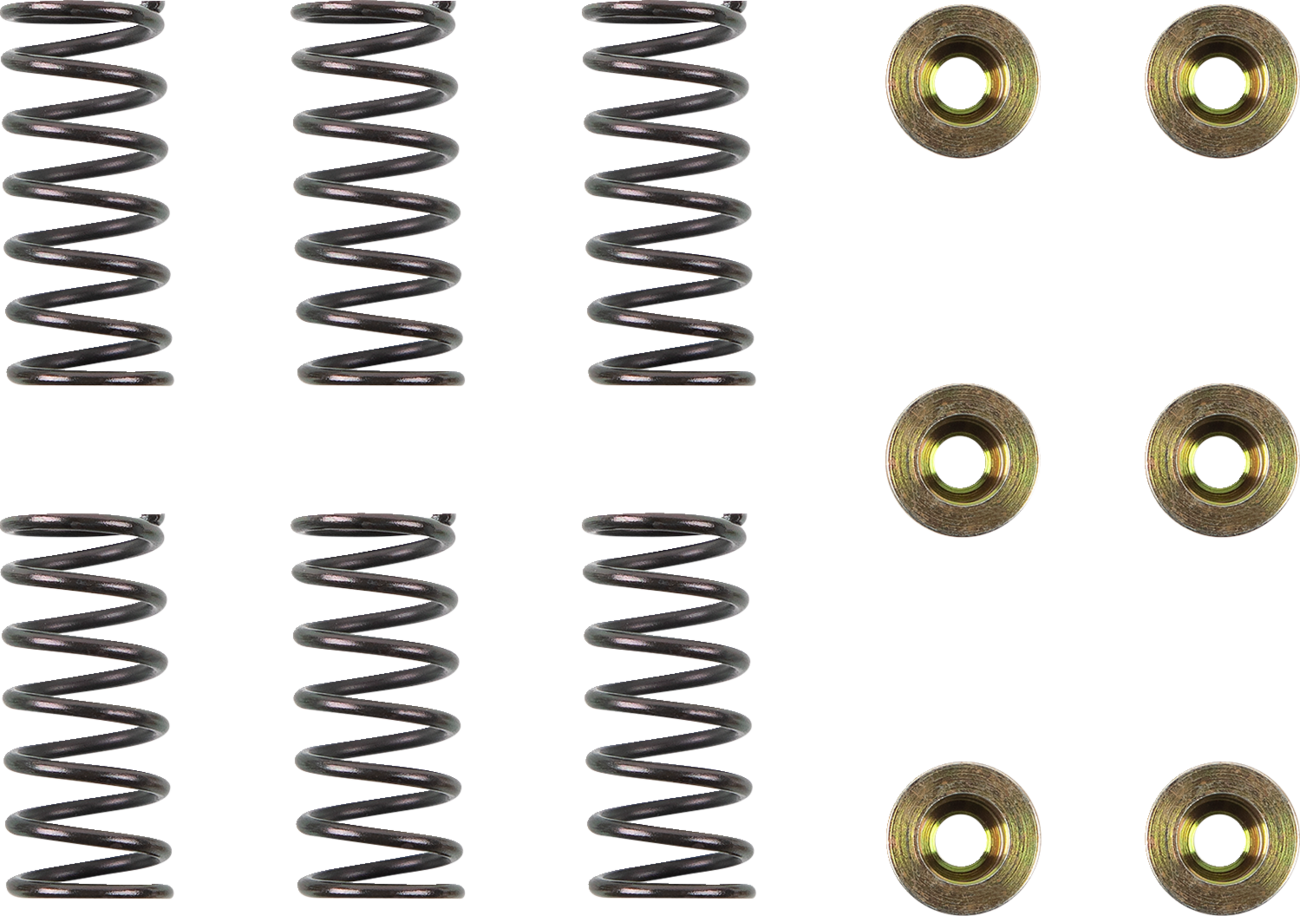 Clutch Spring Kit