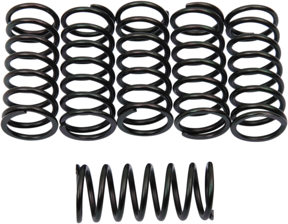 Clutch Springs - Kawasaki/Husqvarna