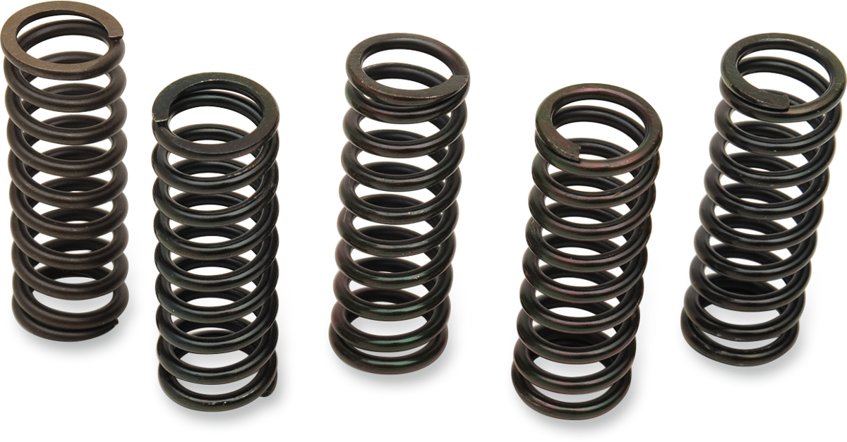 Clutch Spring Set - Honda/Triumph