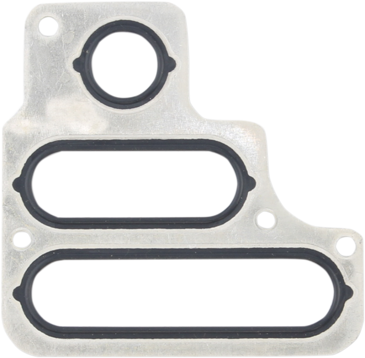 Transmission/Engine Case Gasket