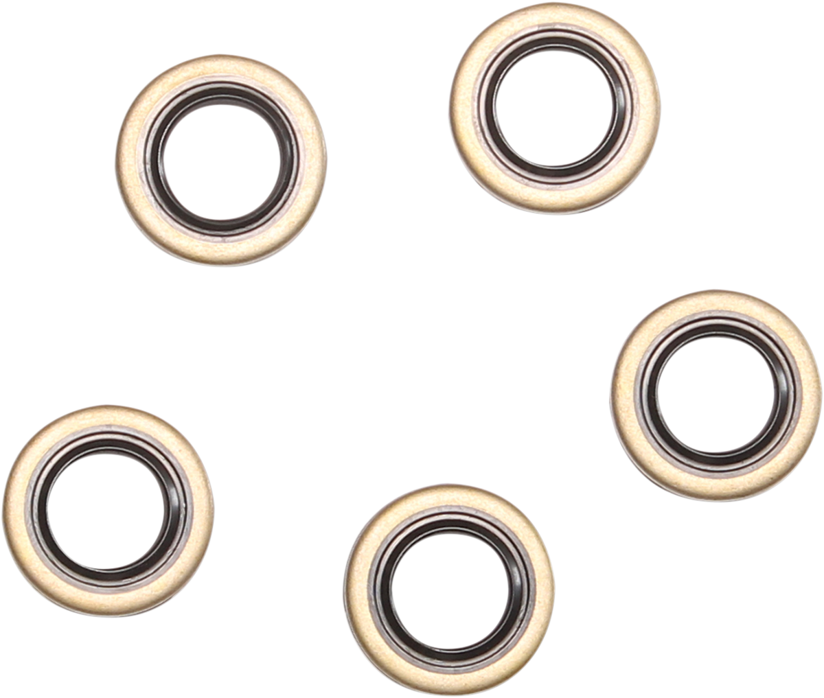 Double Lip Seal