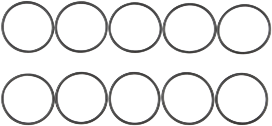Filler Plug O-Ring - Evo
