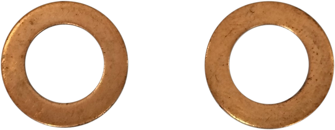 Replacement Fork Damper Tube Mount Washers - 8 mm
