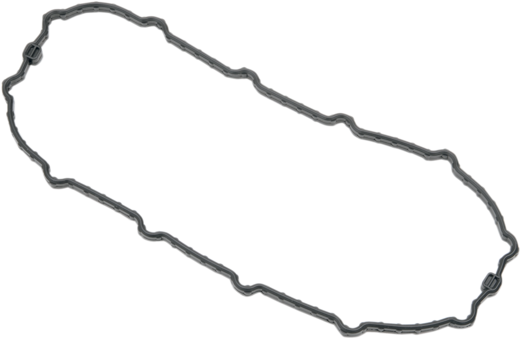 Fuel Pump Door Seal - Dyna