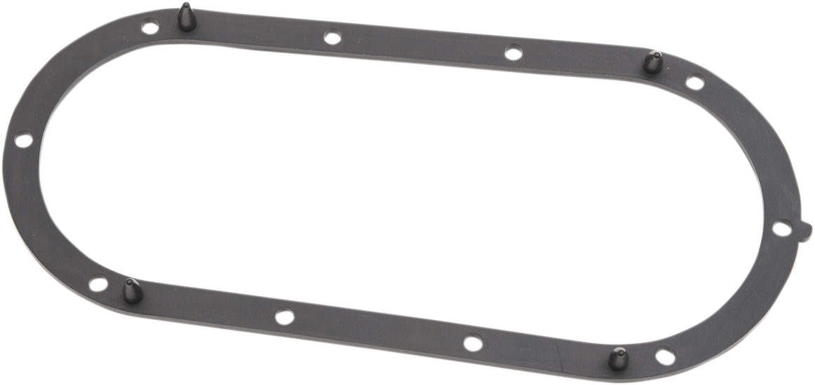 Fuel Pump Door Seal - Touring