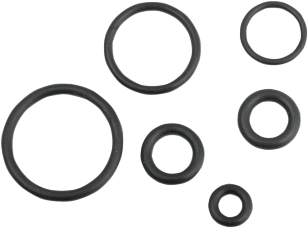 Replacement Fuel Line O-Ring Kit - EFI
