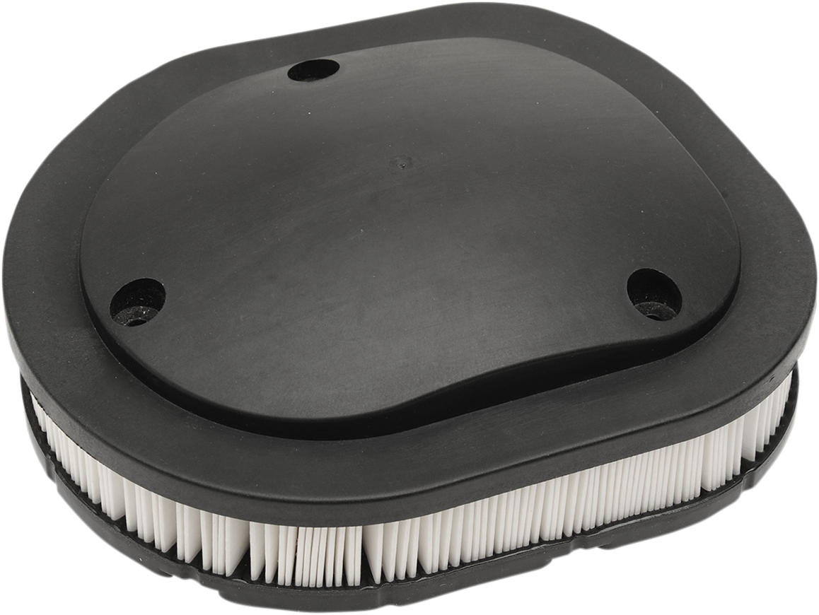 OEM Replacement Air Filter - Indian