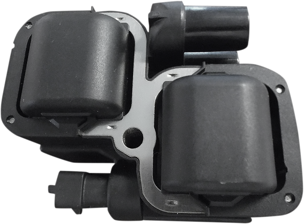 Ignition Coil - Black - Indian