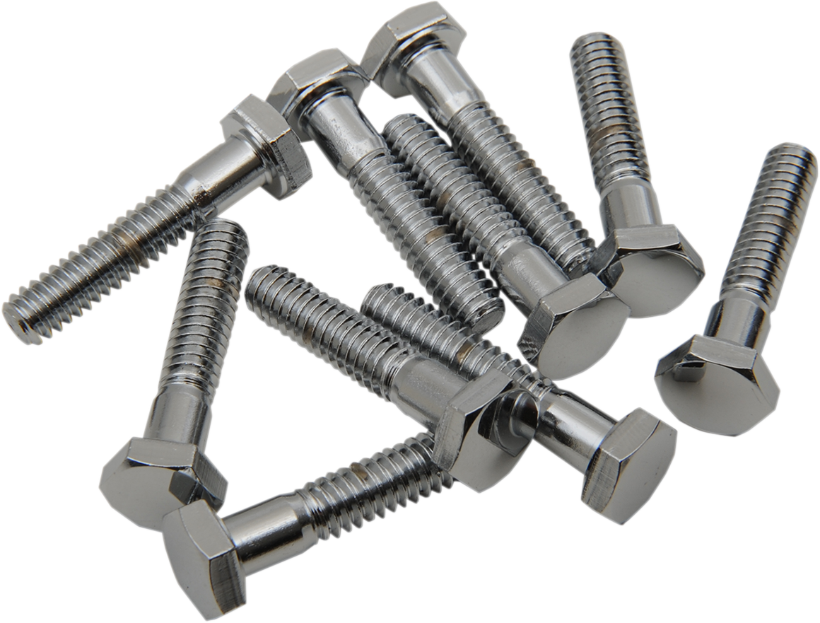 Bolts - Hex-Head - Chrome - 1/4"-20 x 1-1/4"