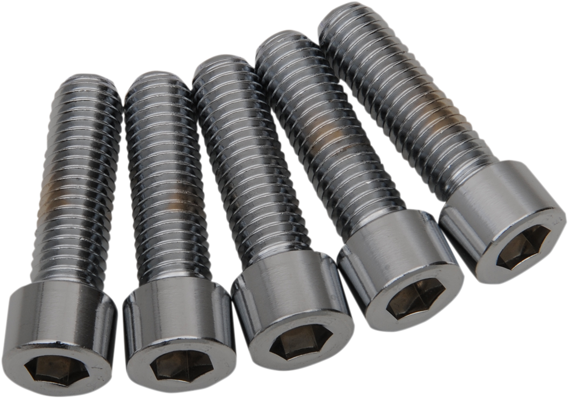 Bolts - Socket-Head/Replacement - Smooth/Coarse Thread - 1/2"-13 x 2" - 5 Pack