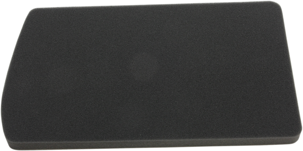 Replacement Air Filter - BMW