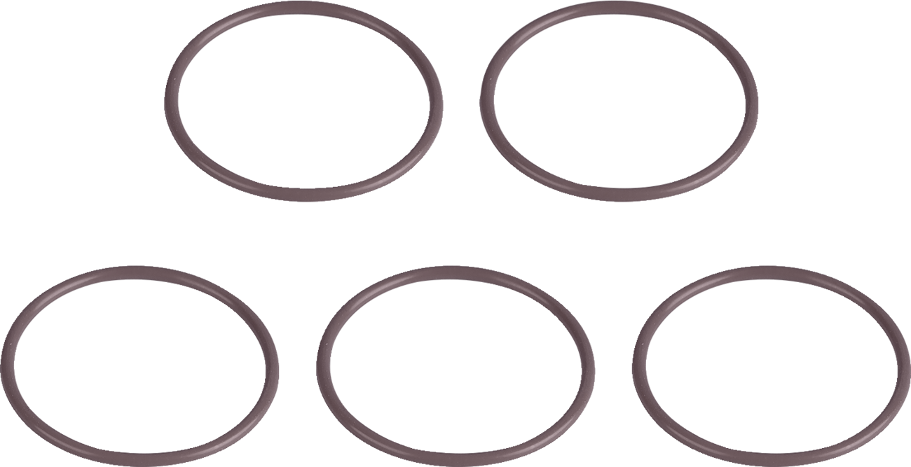 Starter Motor to Crank Case O-Ring - '07-'17 Twin Cam/'06 Dyna