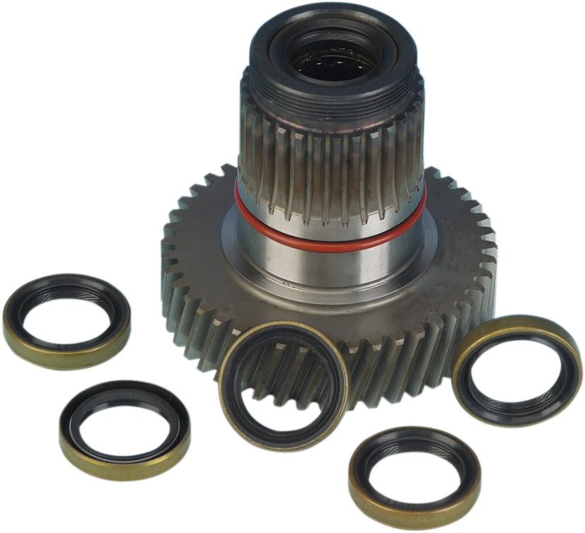 Drive Gear Seal - Big Twin