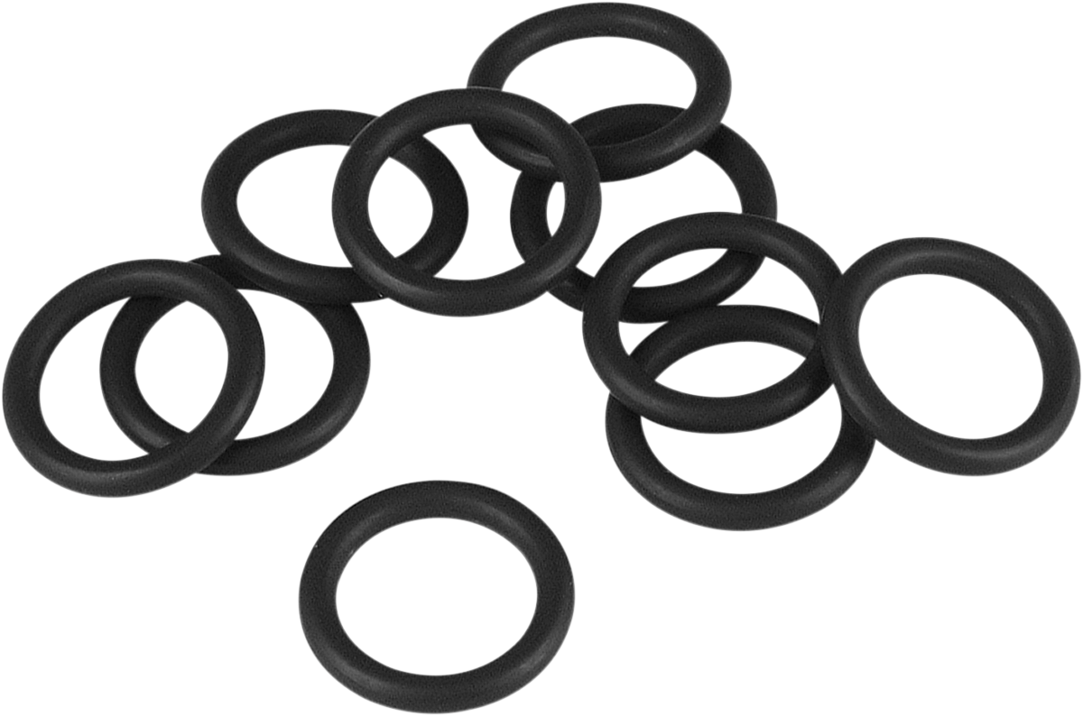 Air Cleaner Back Plate O-Ring - Twin Cam