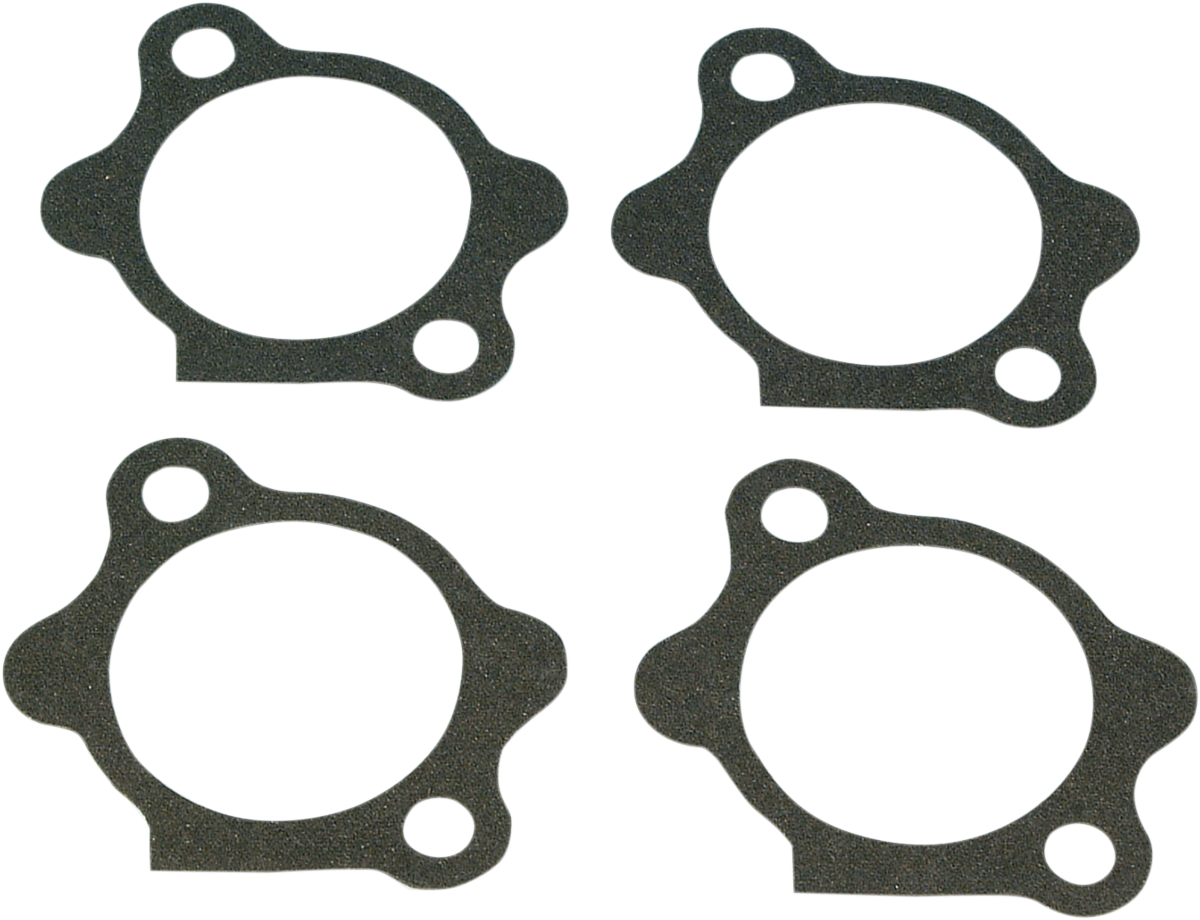 Starter Gasket - XL