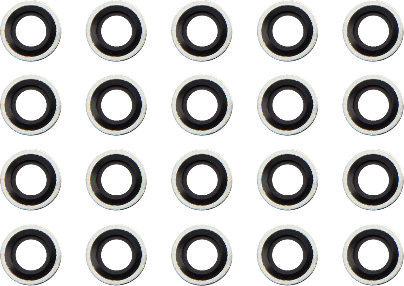 Primary Cover Seal - Big Twin
