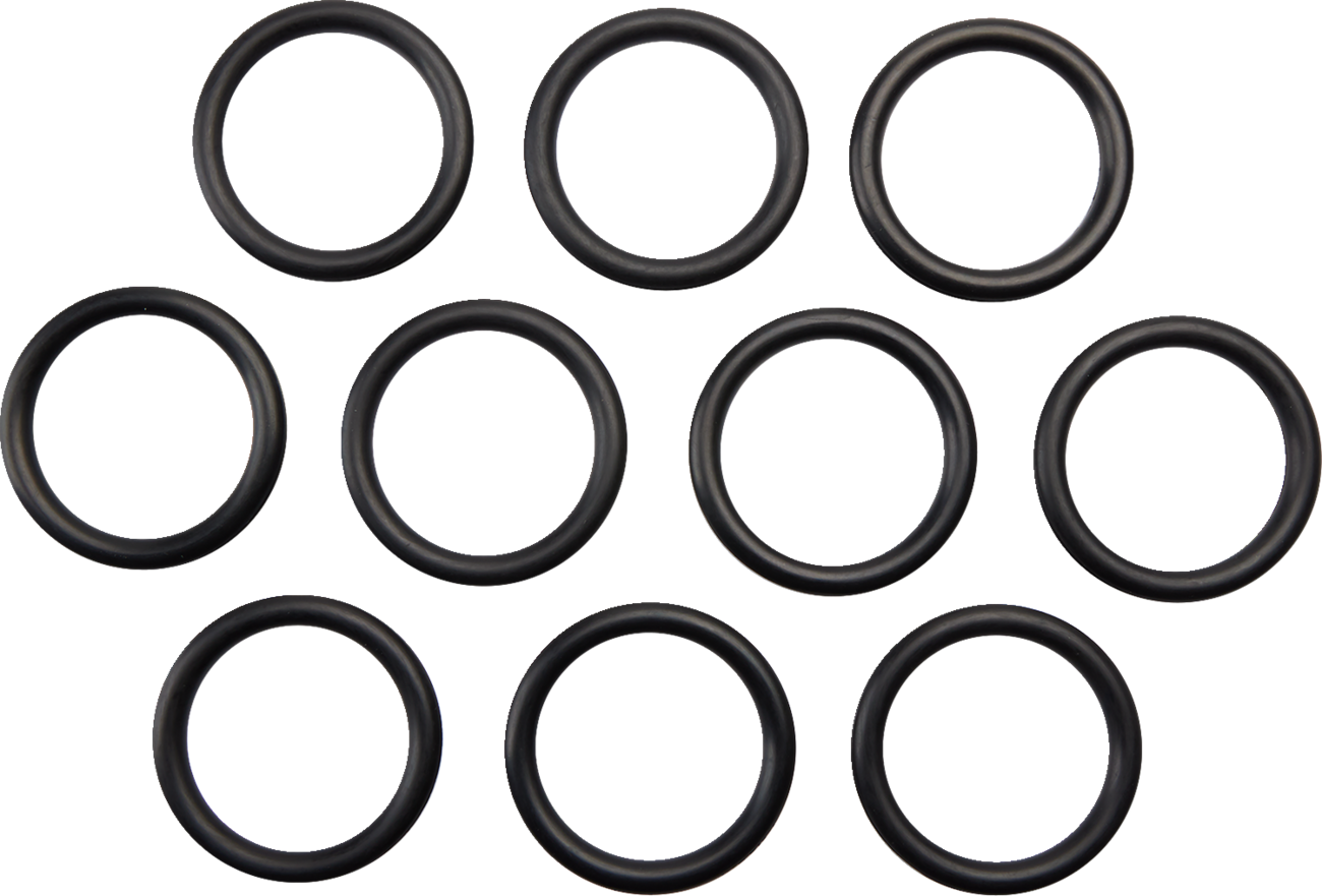 Gas Cap O-Ring