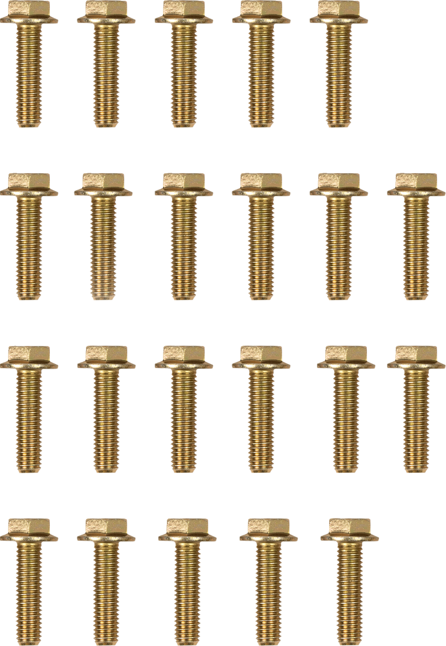 Beadlock Bolts - Replacement - 544X - Pack