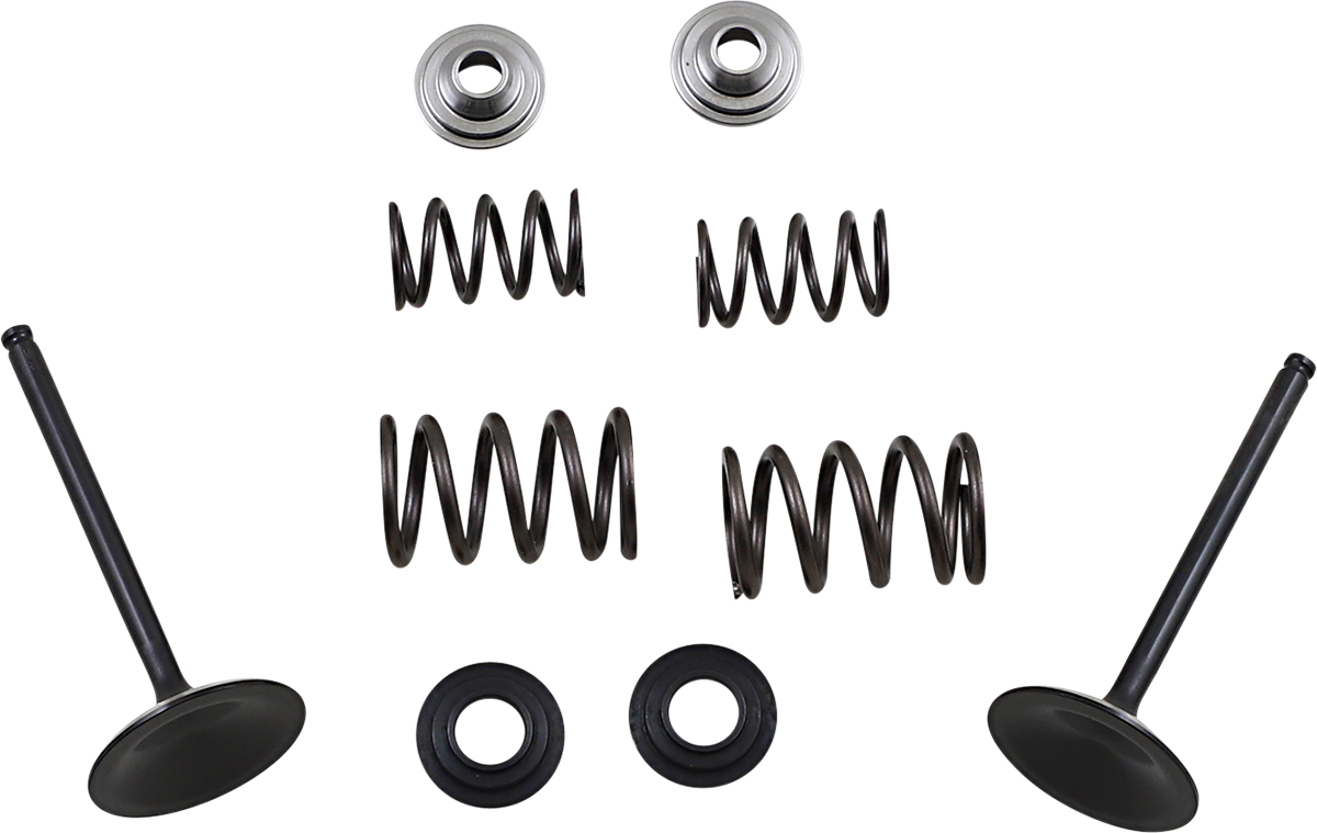 Valve and Spring Kit - Suzuki LTR450 Quad Racer