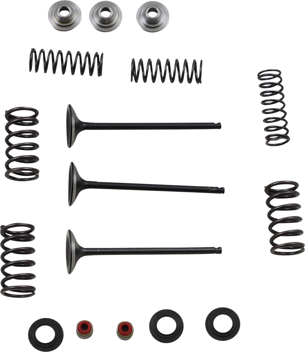 Valve and Spring Kit - Yamaha WR250F | YZ250F