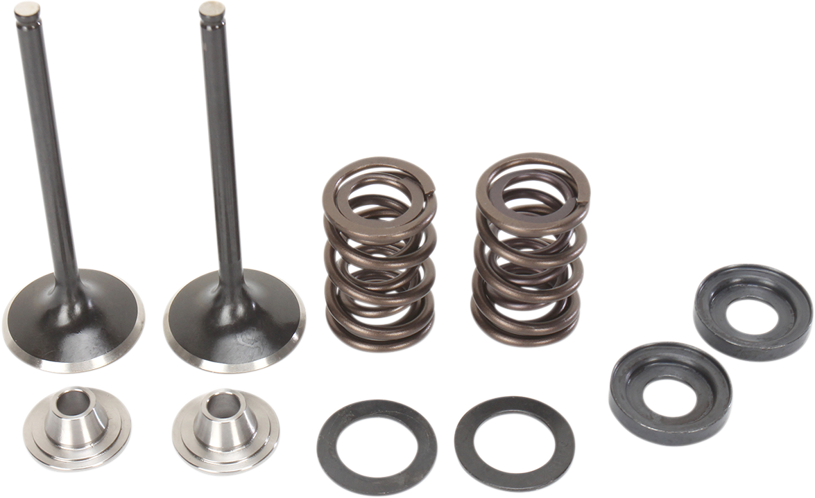 Valve and Spring Kit - KTM RSF Engine 400 cc - 560 cc
