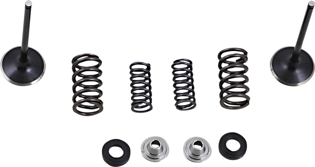 Valve and Spring Kit - Honda CRF250L