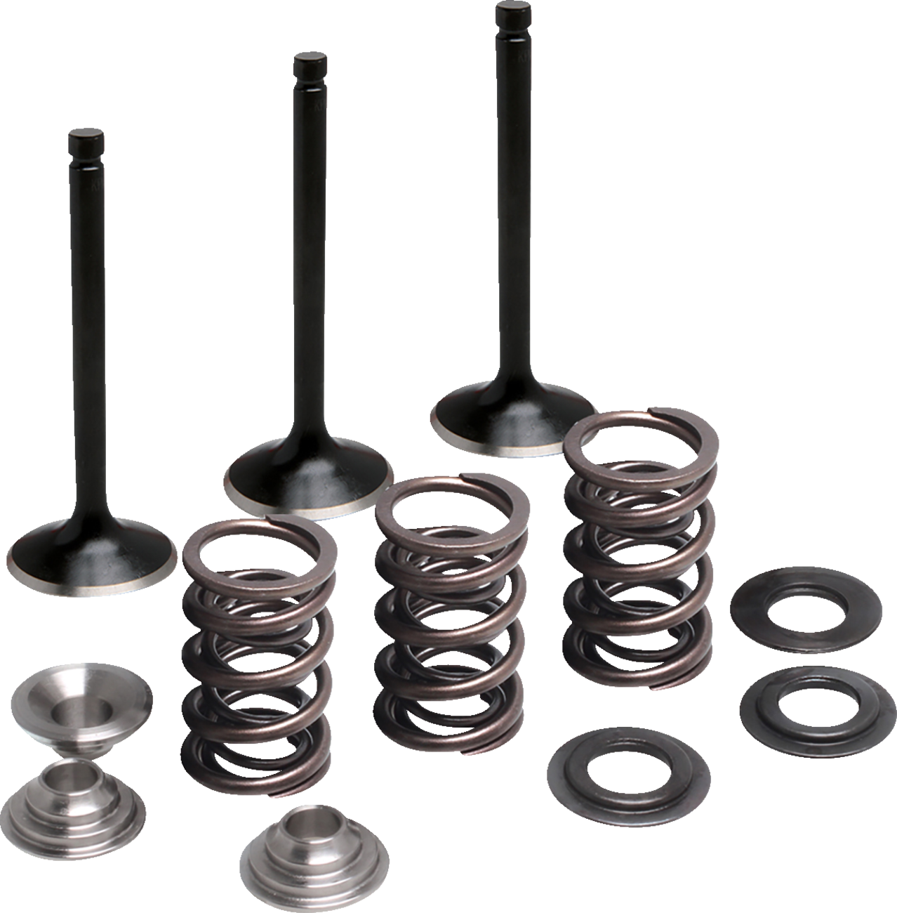 Valve and Spring Kit - Intake - Yamaha