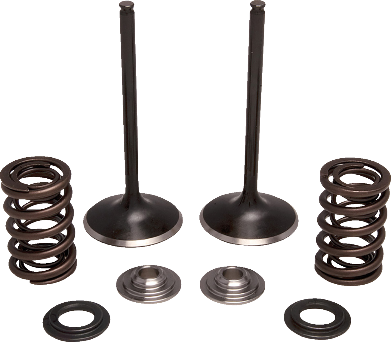 Valve and Spring Kit - Exhaust - Honda