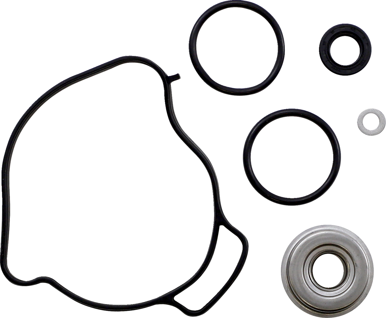 Water Pump Rebuild Kit - Can-Am