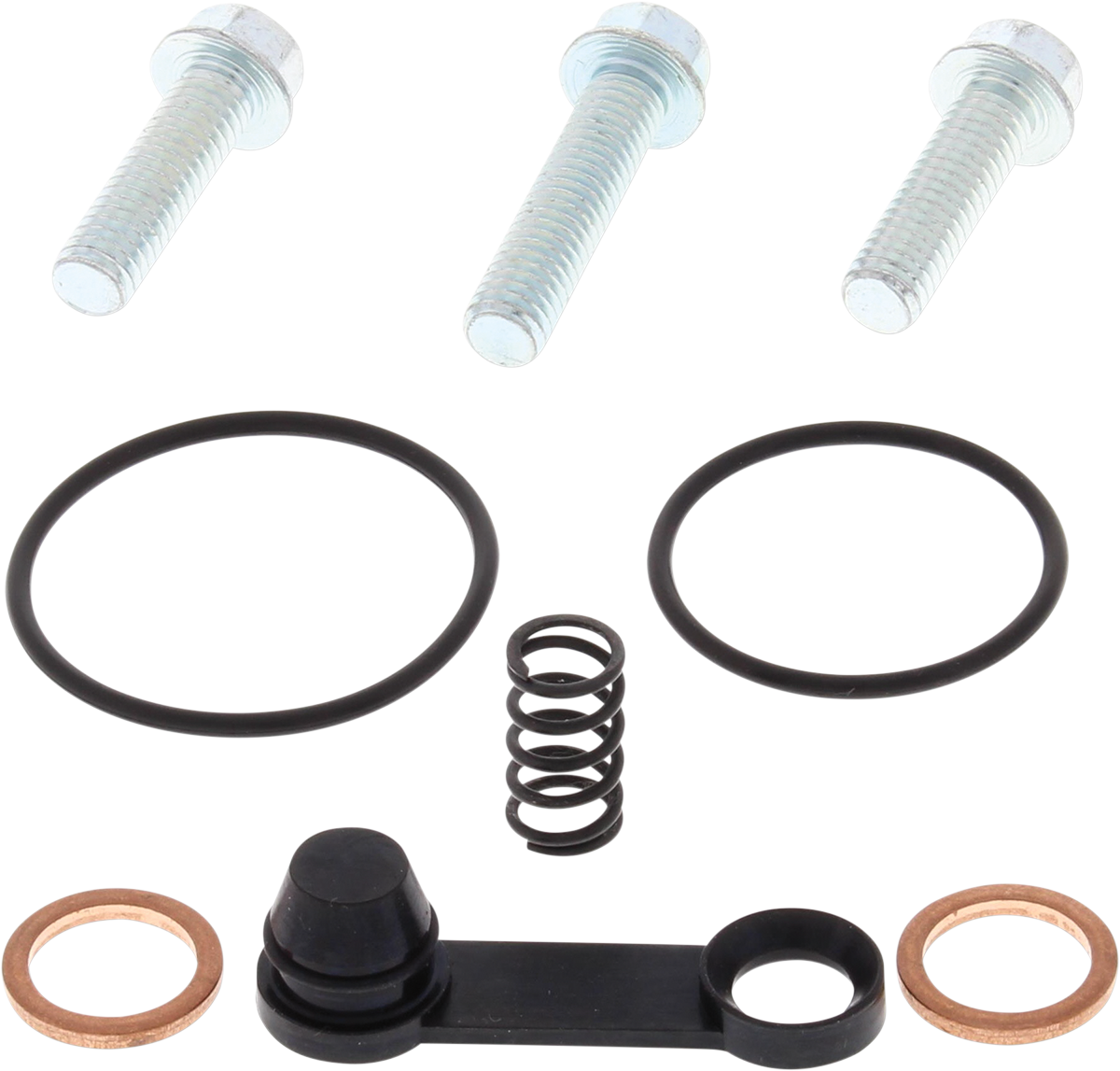 Slave Cylinder Rebuild Kit - KTM