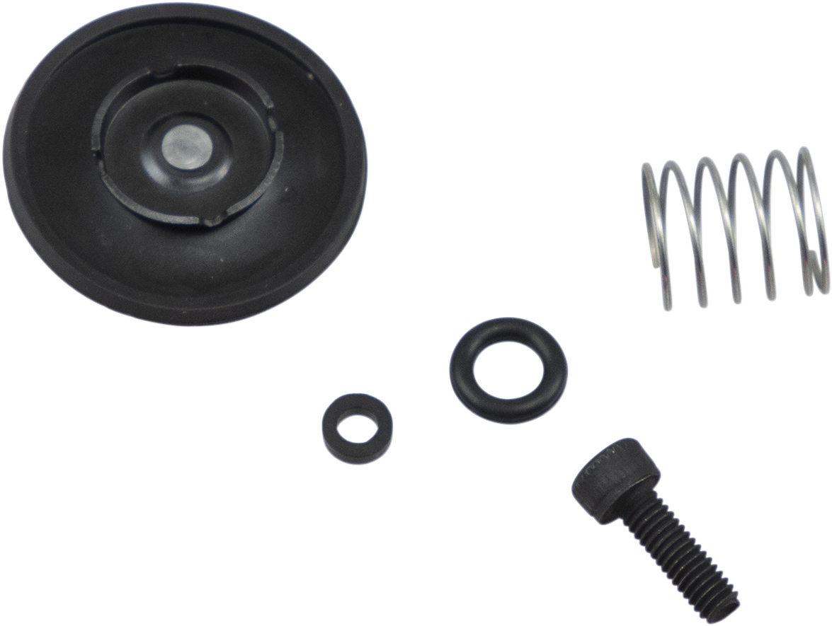 Acceleration Pump Rebuild Kit - Suzuki