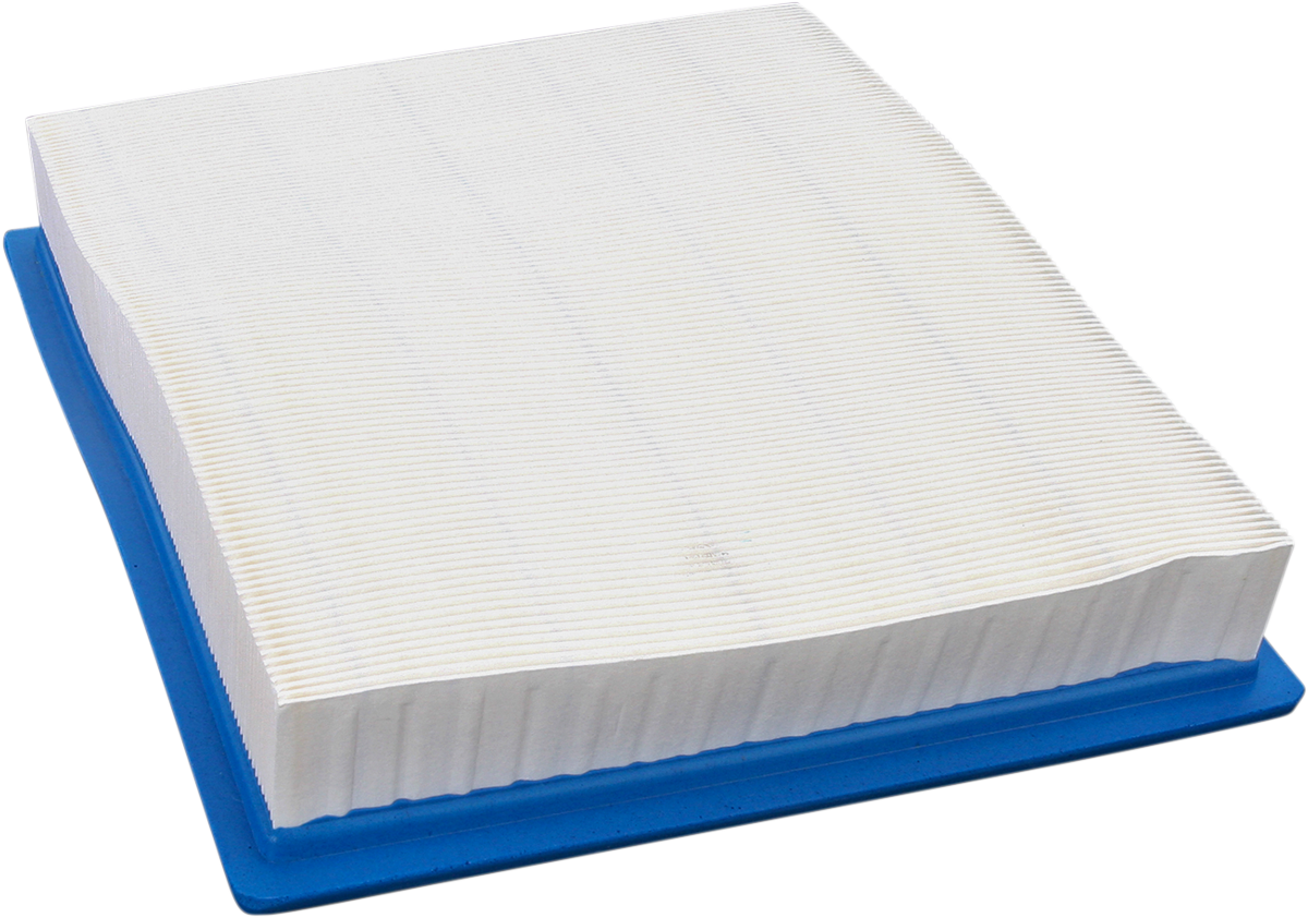 Air Filter - Polaris