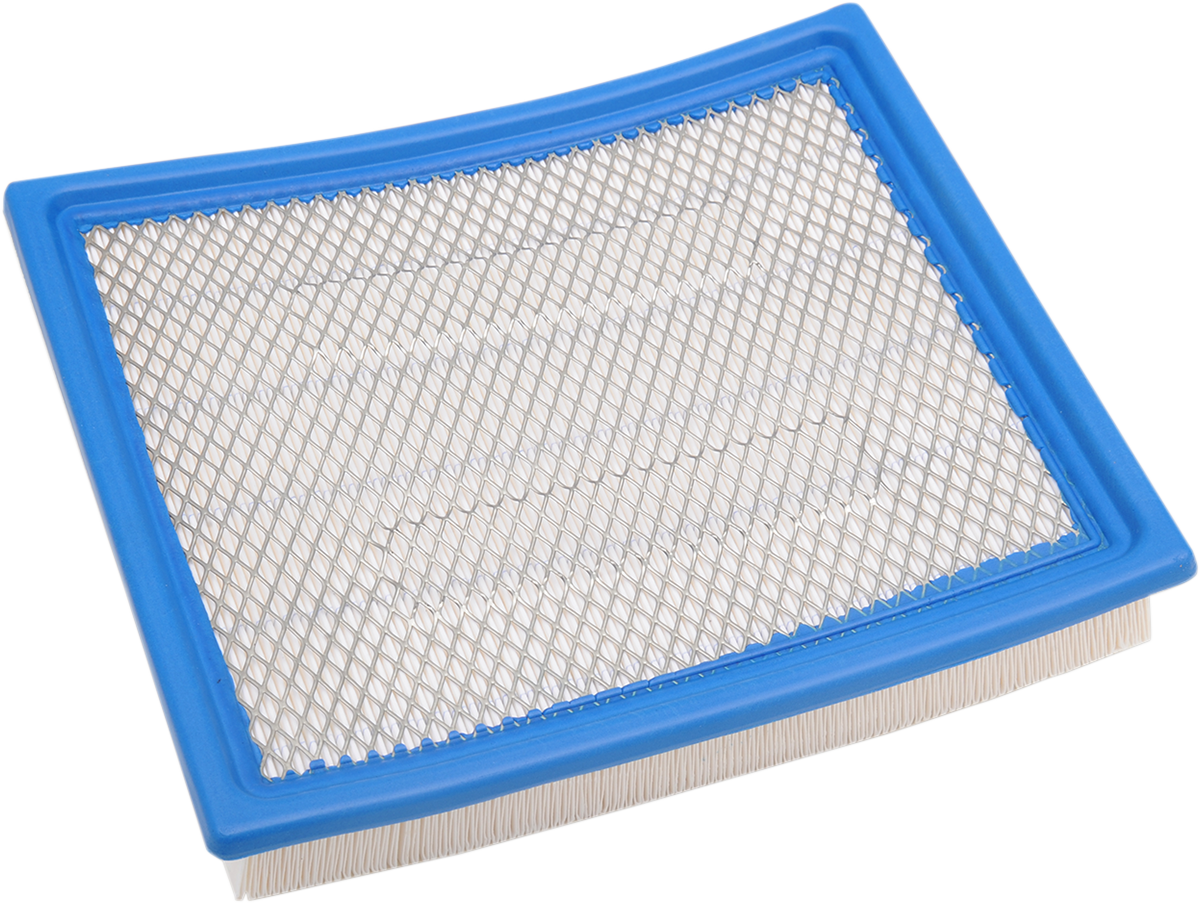 Air Filter - Polaris