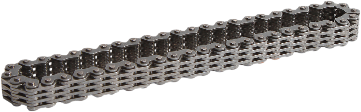 Chain - Transaxle/Transmission/Reverse - Polaris