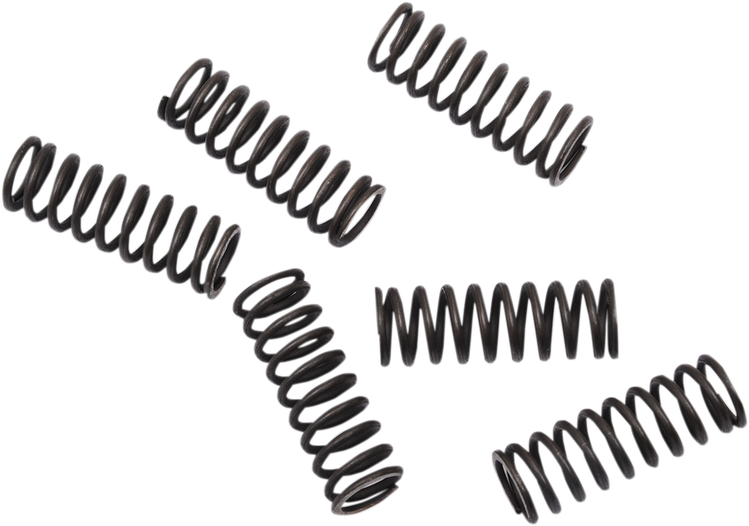 Clutch Springs - CRF 450