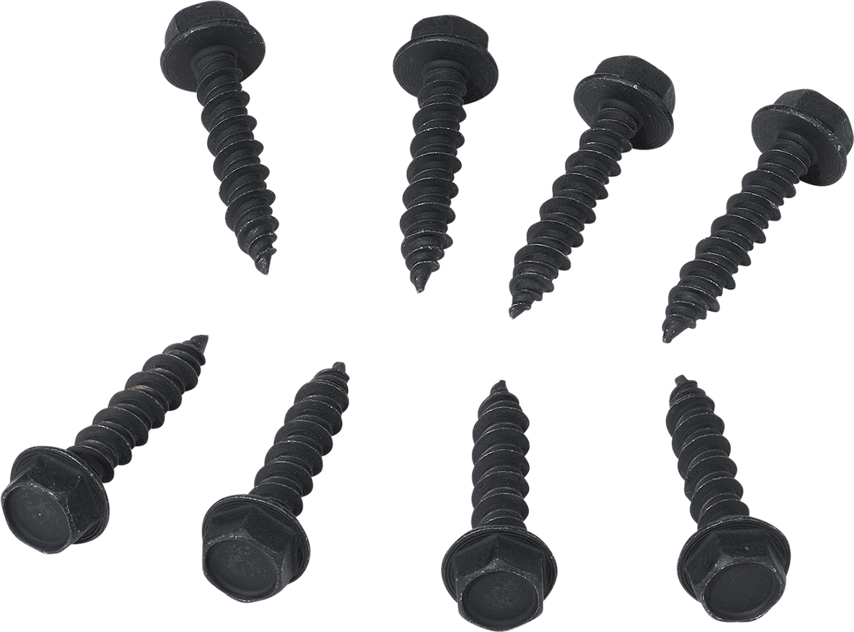 Clutch Cover Screw - Polaris