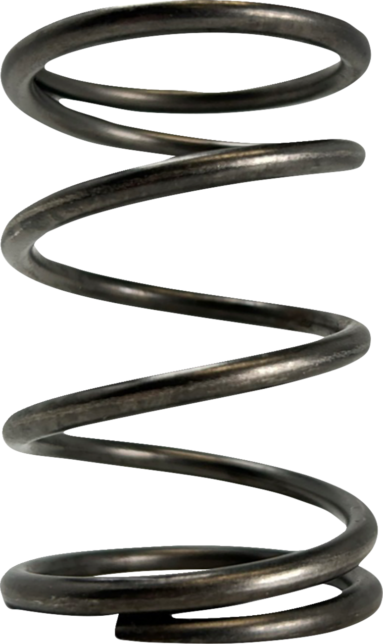 Polaris Primary Clutch Spring - Black - Rate 35/240