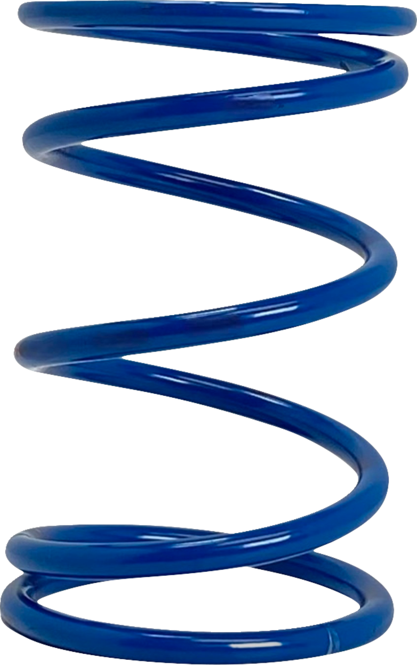 Polaris Primary Clutch Spring - Blue - Rate 36/76