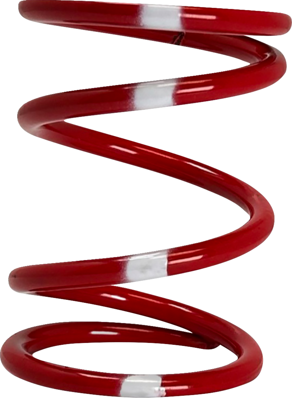 Polaris Primary Clutch Spring - Red/Blue - Rate 42/220