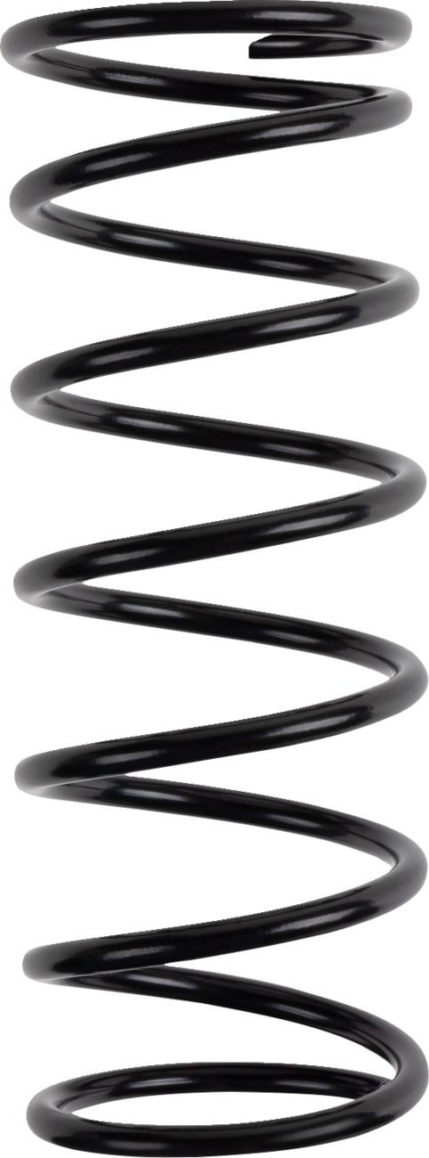 Polaris Primary Clutch Spring - Black - Rate 99/143