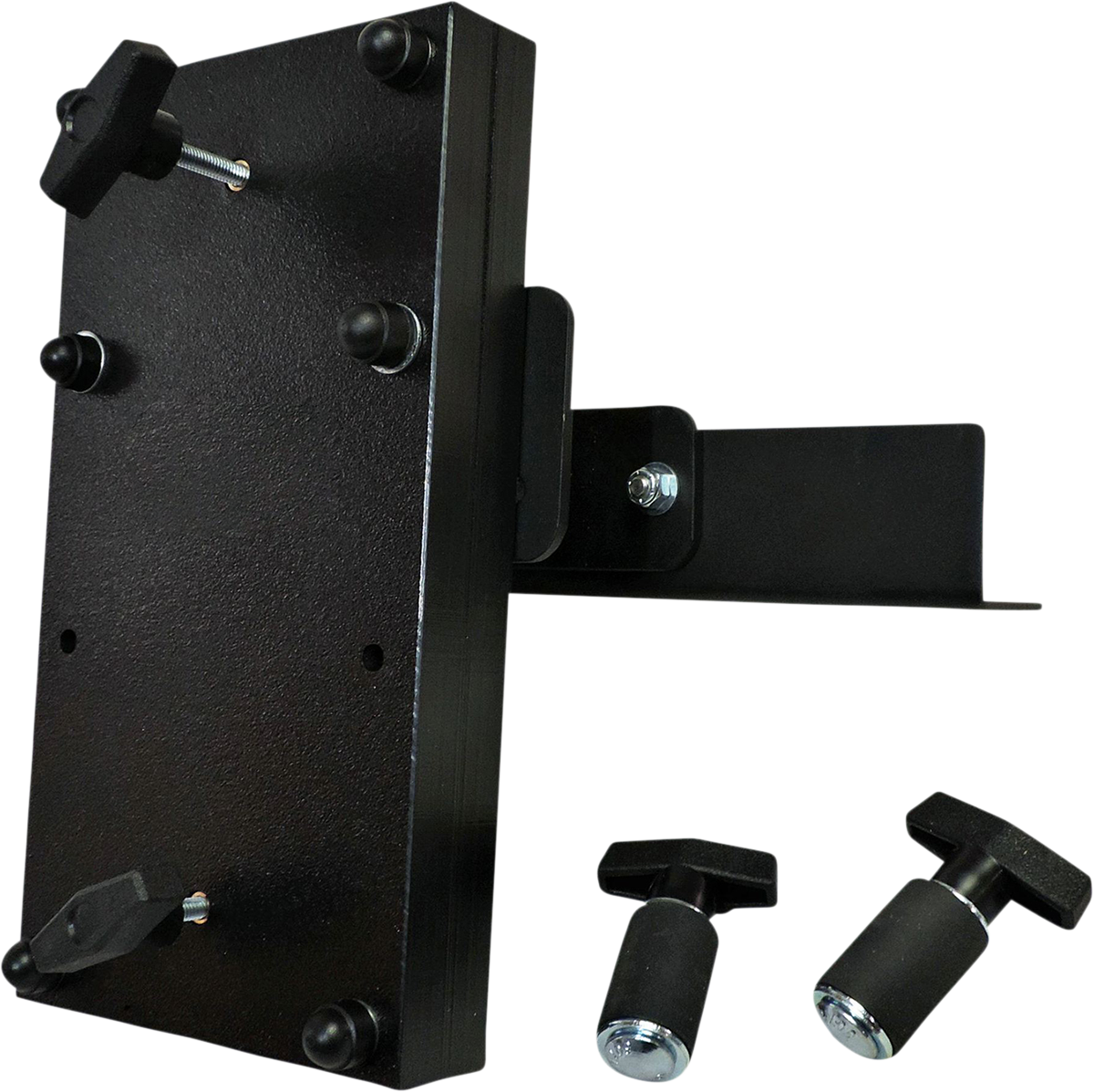 Chainsaw Mount - Sportsman