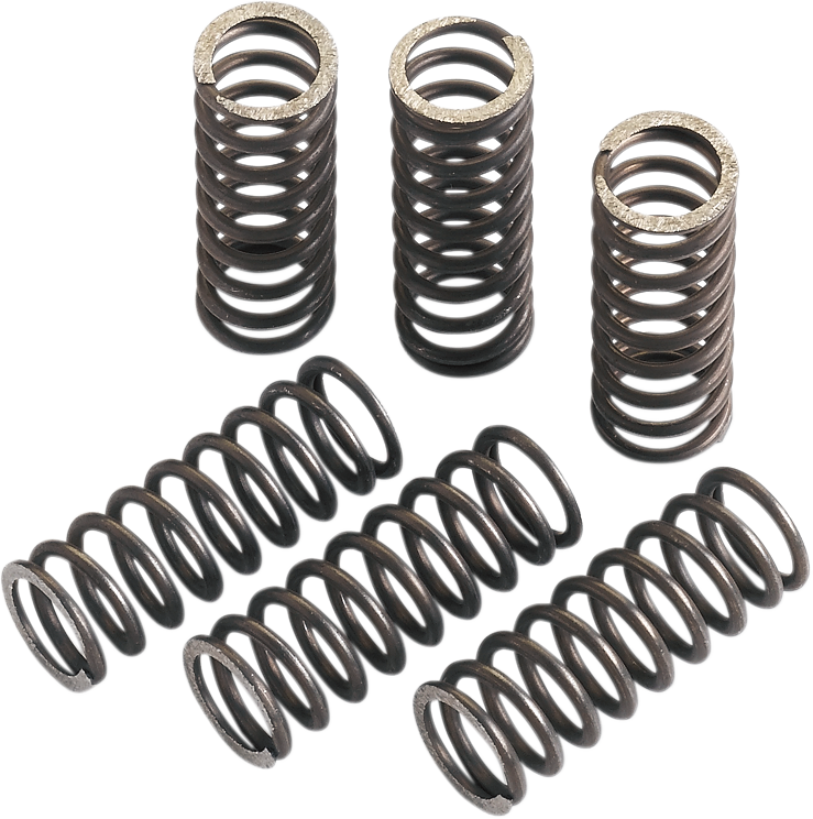 Clutch Springs - RM125
