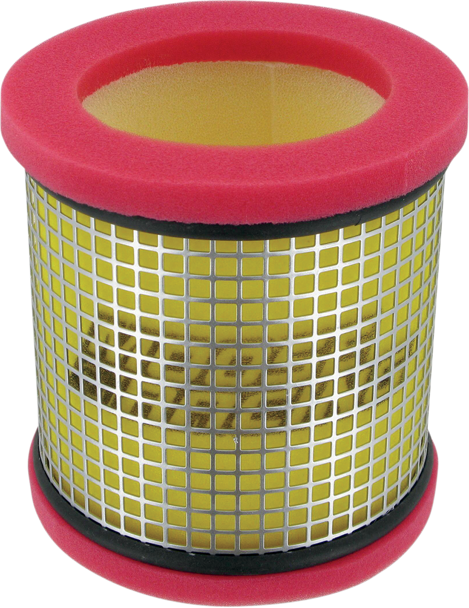 Air Filter - Polaris