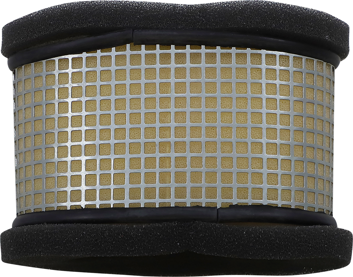 Air Filter - Polaris