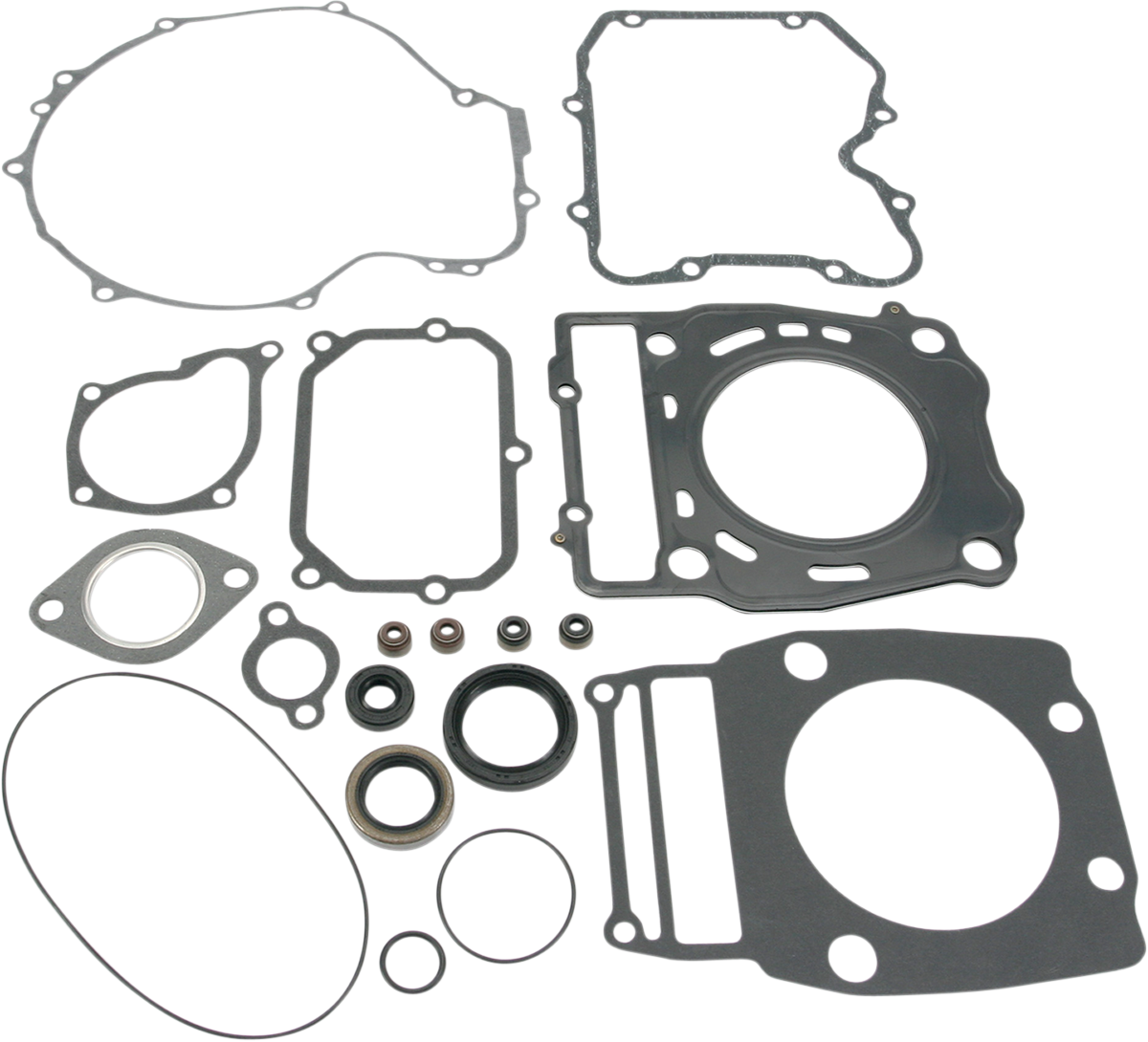 Motor Gasket Kit with Oil Seal - Polaris