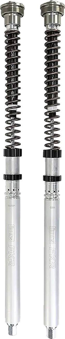 Fork Cartridge Kit (FKR222)