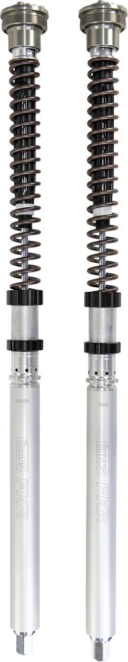 Fork Cartridge Kit (FKR219)
