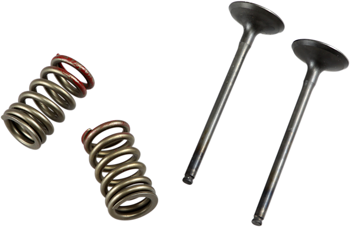 Valve and Spring Kit - Exhaust - Kawasaki | Suzuki